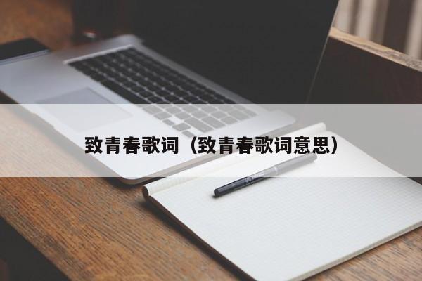 致青春歌词（致青春歌词意思）