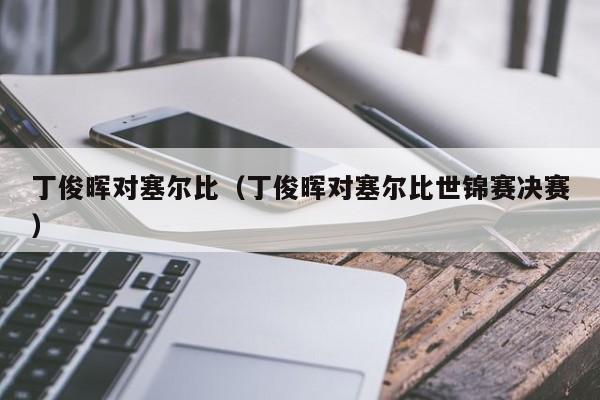 丁俊晖对塞尔比（丁俊晖对塞尔比世锦赛决赛）