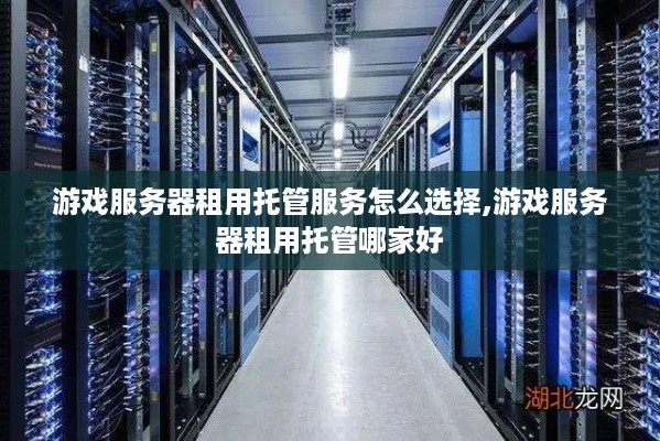 游戏服务器租用托管服务怎么选择,游戏服务器租用托管哪家好