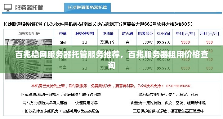 百兆稳网服务器托管服务推荐，百兆服务器租用价格查询