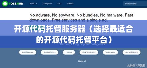 开源代码托管服务器（选择最适合的开源代码托管平台）