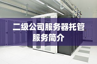 二级公司服务器托管服务简介