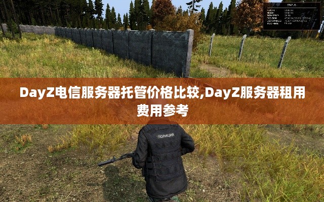 DayZ电信服务器托管价格比较,DayZ服务器租用费用参考