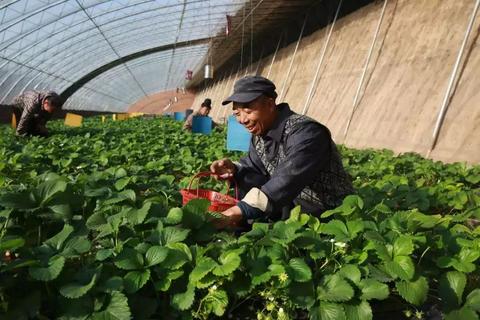 景服务器托管怎么登陆（服务器托管登录方法详解）