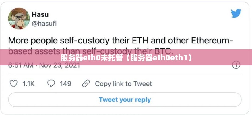 服务器eth0未托管（服务器eth0eth1）