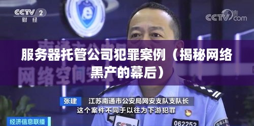 服务器托管公司犯罪案例（揭秘网络黑产的幕后）