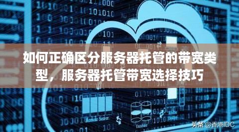 如何正确区分服务器托管的带宽类型，服务器托管带宽选择技巧