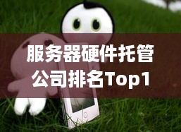 服务器硬件托管公司排名Top10，选择服务器托管公司需注意哪些因素