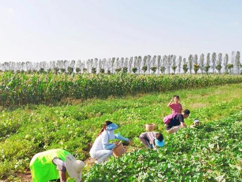 南京数据中心托管服务器价格,南京数据中心哪家好