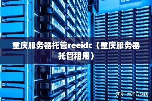 重庆服务器托管reeidc（重庆服务器托管租用）