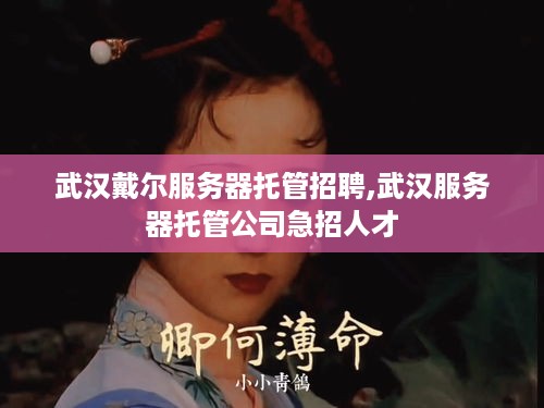 武汉戴尔服务器托管招聘,武汉服务器托管公司急招人才