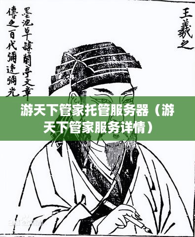 游天下管家托管服务器（游天下管家服务详情）