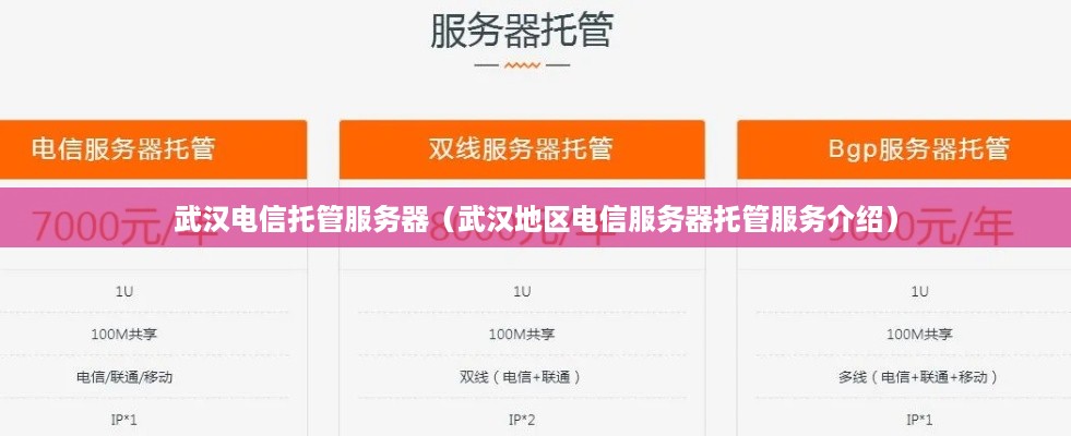 武汉电信托管服务器（武汉地区电信服务器托管服务介绍）