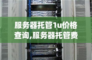 服务器托管1u价格查询,服务器托管费用一览