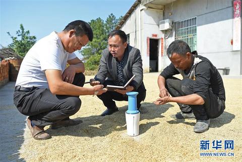 江西个人服务器托管业务（选择最佳托管服务提供商）