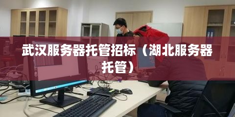 武汉服务器托管招标（湖北服务器托管）