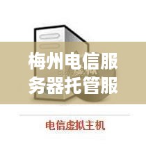 梅州电信服务器托管服务详解