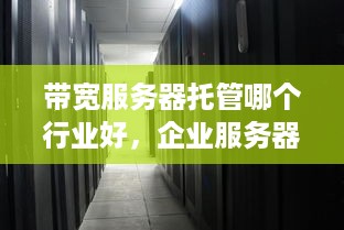 带宽服务器托管哪个行业好，企业服务器托管服务推荐