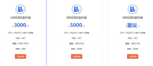 大型服务器托管（服务器托管一般多少钱）