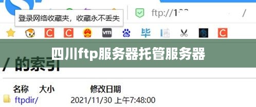 四川ftp服务器托管服务器