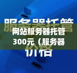 网站服务器托管300元（服务器托管的费用）