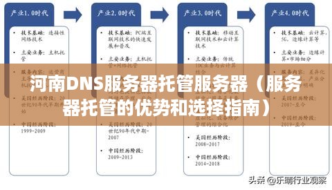 河南DNS服务器托管服务器（服务器托管的优势和选择指南）