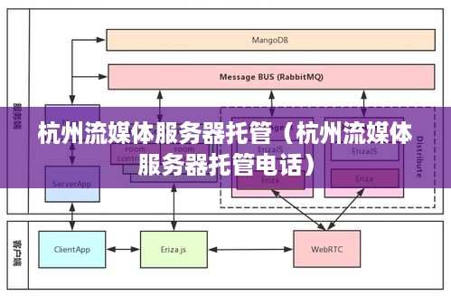 杭州流媒体服务器托管（杭州流媒体服务器托管电话）