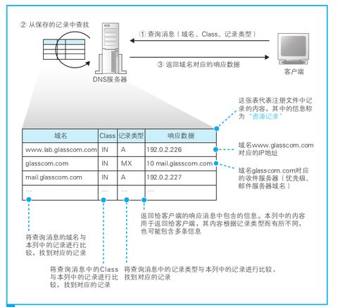 山东dns服务器托管服务器（山东地区dns）