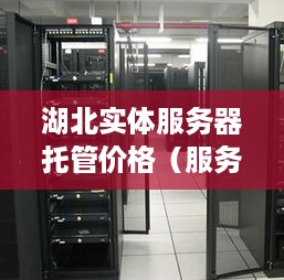 湖北实体服务器托管价格（服务器托管公司哪家好）