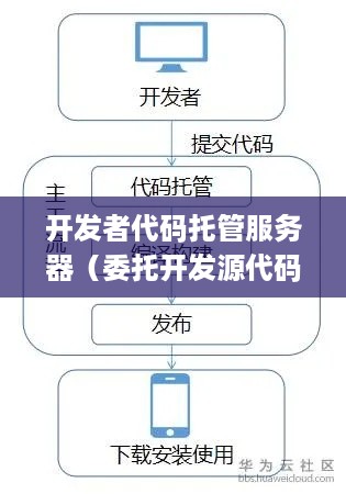 开发者代码托管服务器（委托开发源代码归属）