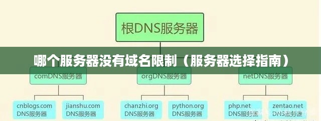 哪个服务器没有域名限制（服务器选择指南）