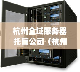 杭州全域服务器托管公司（杭州全域服务器托管公司有哪些）