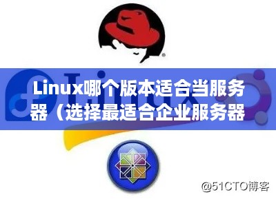 Linux哪个版本适合当服务器（选择最适合企业服务器的Linux发行版）