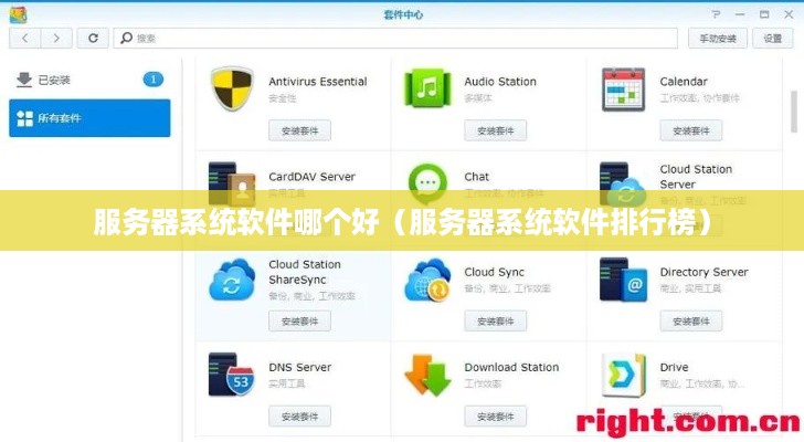 服务器系统软件哪个好（服务器系统软件排行榜）