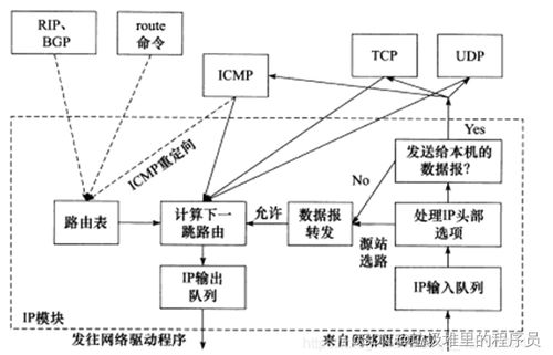 多IP服务器的原因和解决办法（服务器多IP问题详细解析）