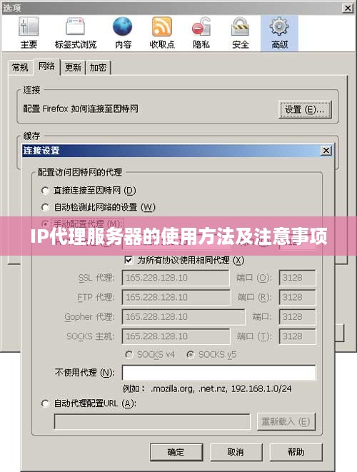 IP代理服务器的使用方法及注意事项