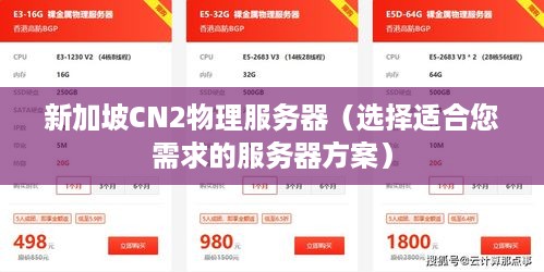 新加坡CN2物理服务器（选择适合您需求的服务器方案）