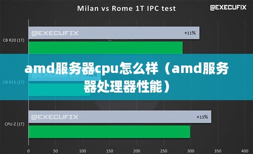 amd服务器cpu怎么样（amd服务器处理器性能）