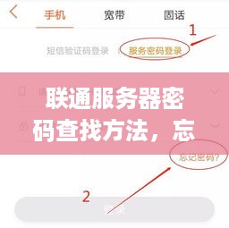 联通服务器密码查找方法，忘记服务器密码怎么办