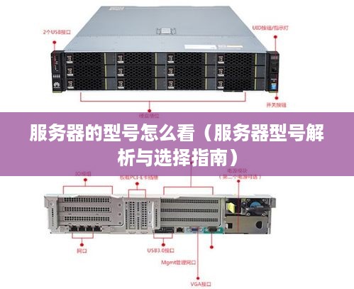 服务器的型号怎么看（服务器型号解析与选择指南）