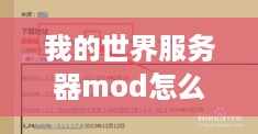 我的世界服务器mod怎么装（详解mod安装步骤）