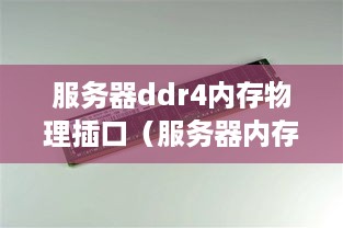 服务器ddr4内存物理插口（服务器内存插槽解析与使用技巧）