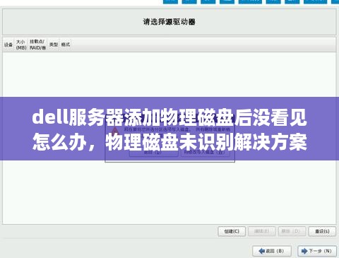 dell服务器添加物理磁盘后没看见怎么办，物理磁盘未识别解决方案