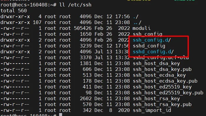 通过 SSH 改变物理服务器的 IP 地址 (服务器 IP 地址调整指南)