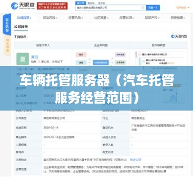 车辆托管服务器（汽车托管服务经营范围）