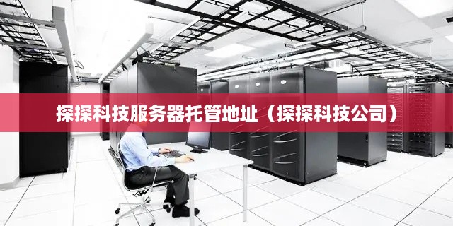 探探科技服务器托管地址（探探科技公司）