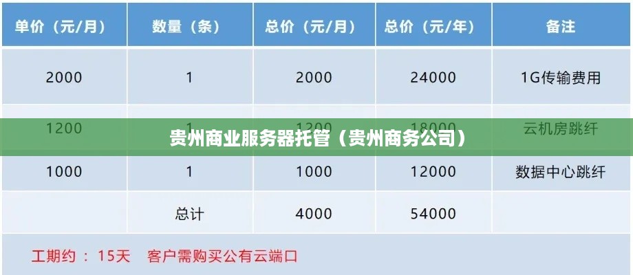 贵州商业服务器托管（贵州商务公司）