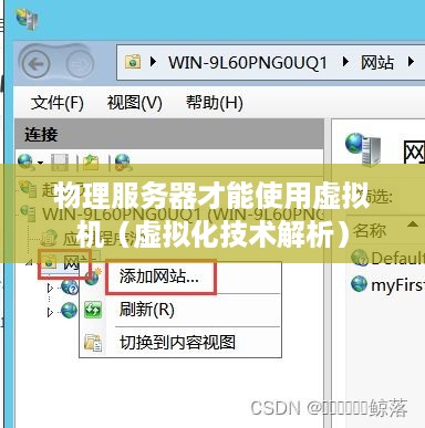 物理服务器才能使用虚拟机（虚拟化技术解析）