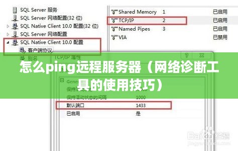 怎么ping远程服务器（网络诊断工具的使用技巧）