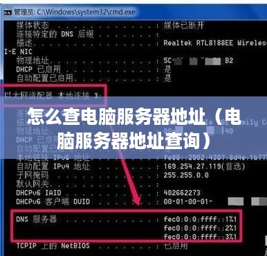 怎么查电脑服务器地址（电脑服务器地址查询）